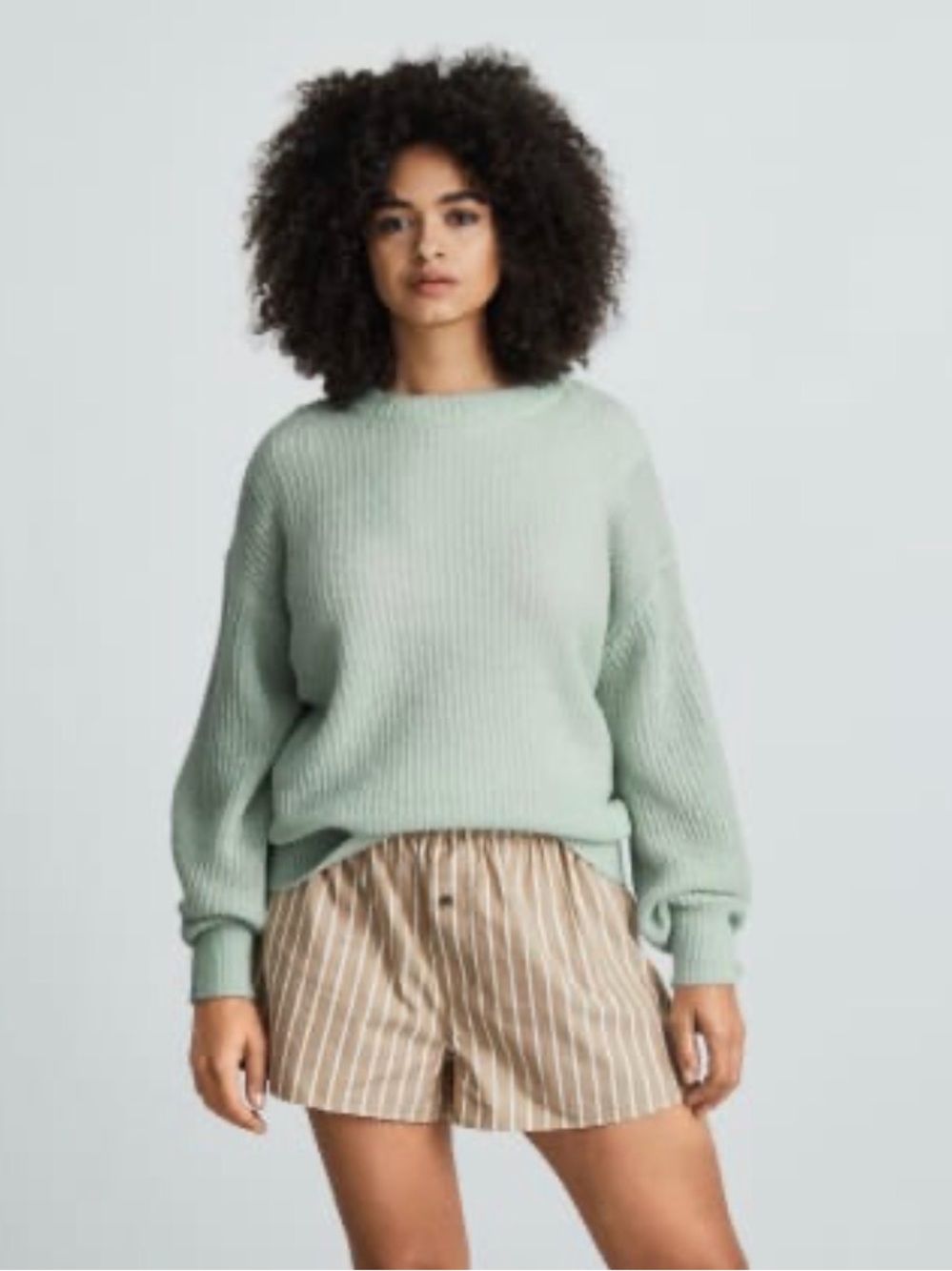 Everlane Alpaca Wool Blend Oversized Crew Sweater XXS Sage Green
